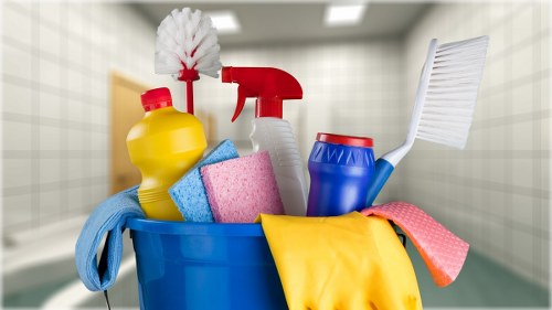 Domestic cleaner working in a Highbury living room during a routine clean