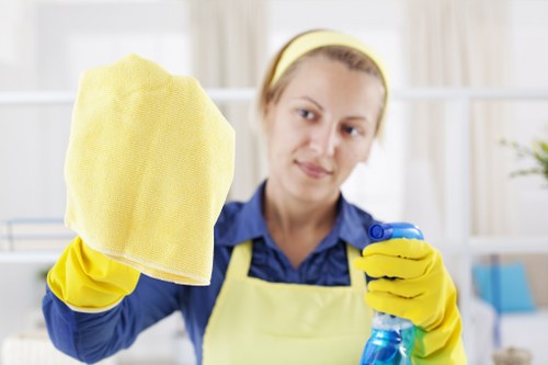 Professional one-off cleaning for a Highbury home interior