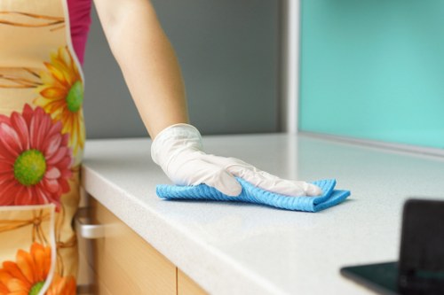 Professional mattress cleaning service in a Highbury home