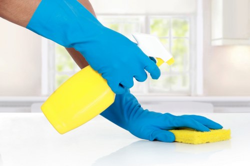 Window cleaning service for Highbury homes and flats