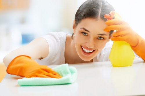 House cleaning for Highbury families and local businesses