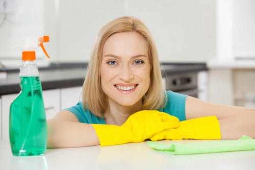 Local cleaning team handling a furnished Highbury rental property