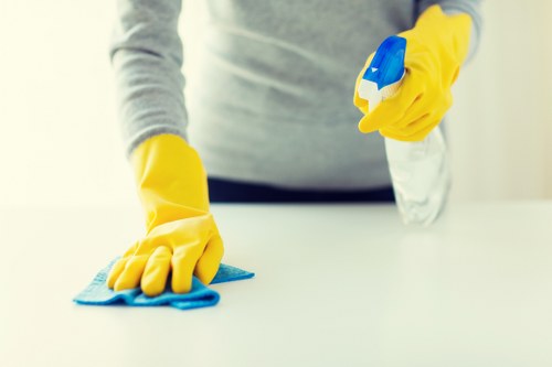 Deep rug cleaning service for stains and odours