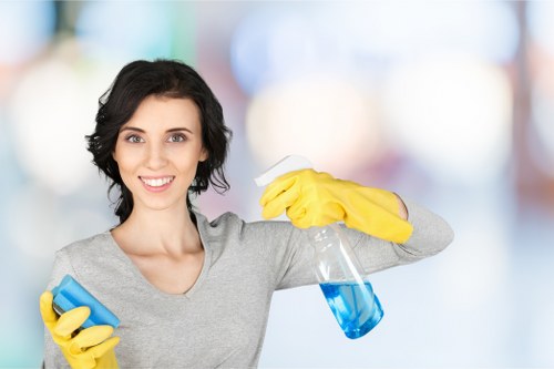 Professional cleaning of residential windows in Highbury