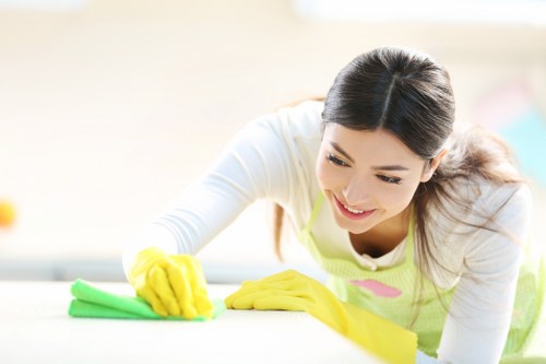 Professional move in cleaning for a Highbury home before unpacking