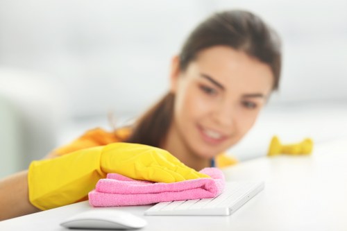 Upholstery cleaning for pet odour removal in a Highbury flat
