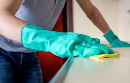 Local window cleaner servicing a Highbury home