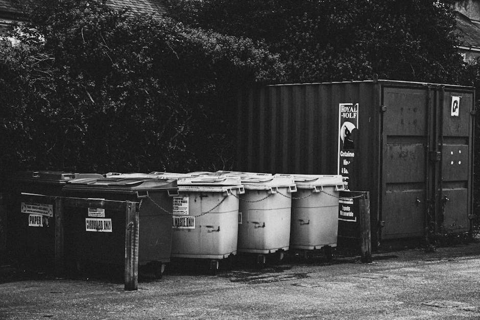 A row of four large white waste bins with hinged lids, positioned on a paved surface in front of a black shipping container, with one black waste bin also present. The bins are labeled for general waste, recyclable waste, and waste that is to be disposed of in accordance with local waste management rules. Behind the bins, there are dense trees and foliage, providing a natural background. The area appears clean and organized, with no visible litter or debris. This setup reflects routine waste disposal practices in a residential or commercial setting, aligning with the regulations discussed on the Highbury Cleaners webpage about waste management and hygiene.