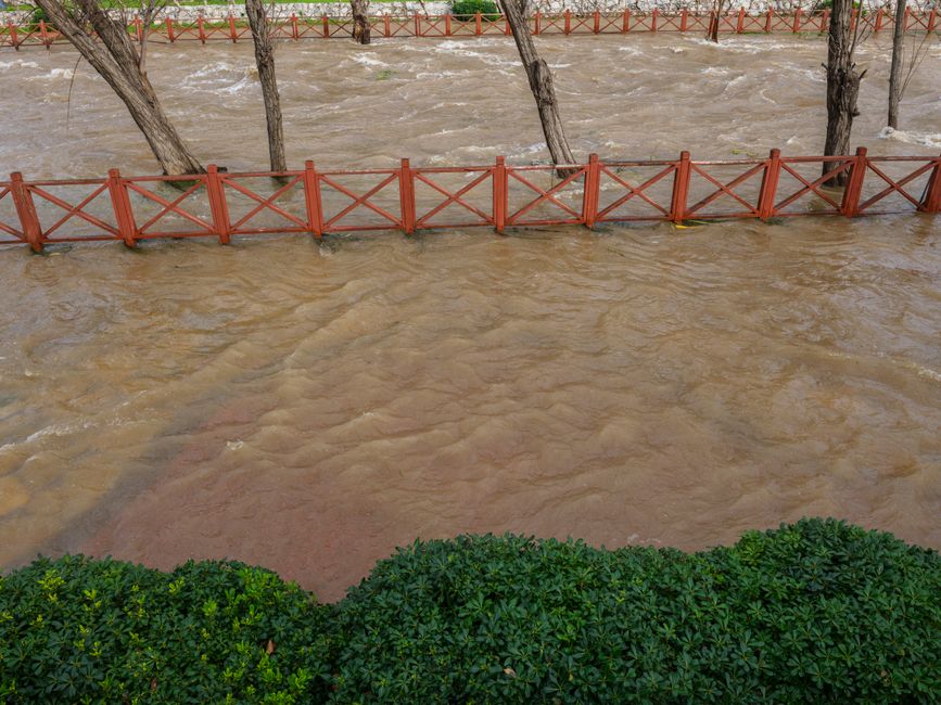 A flooded street with murky, brown water covering the road surface, partially submerging streetlights, traffic barriers, and nearby trees. The water extends to the horizon, with overhanging branches f